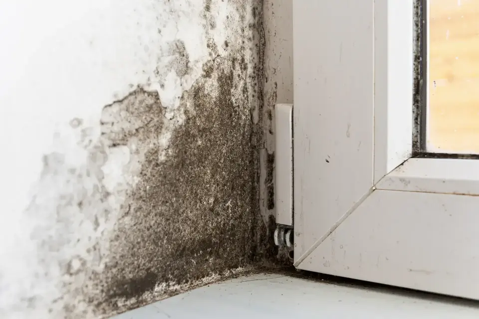 Our Commitment To Property Recovery
